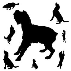 silhouette of dogs N9