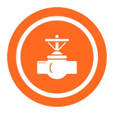 Globe valve N3
