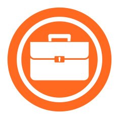 Briefcase N26