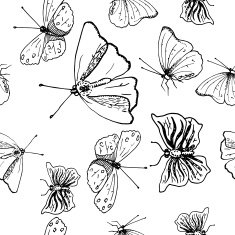 Seamless pattern butterflies monochrome