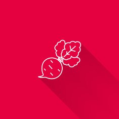Beetroot N3