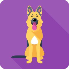 dog German shepherd sitting icon flat design