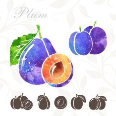 Plum icons set