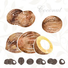 Coconut icons set