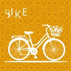 Bicycle N44