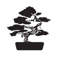 Black Bonsai Tree
