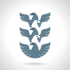 Graceful soaring eagle logo with outstretched wings N2