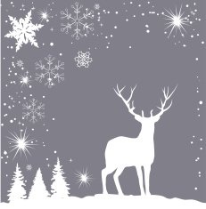 Christmas N95
