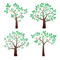 Color vector tree with leafs