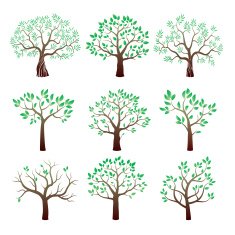 Set of color vector trees
