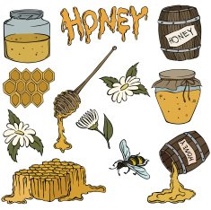 Vector silhouette of honey N4