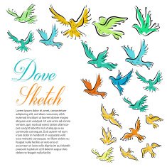 Dove Sketch Background