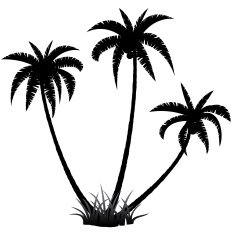 Palm trees silhouette N7