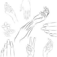Collection of hands in various gestures manicure and beauty concept