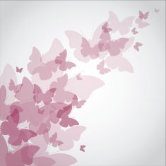 Background with butterflies N21 free image download