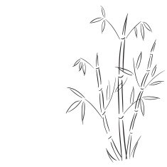 bamboo branches hand drawn vector illustration