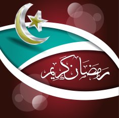 Ramadan Kareem Vector Illustration Greeting Card N24
