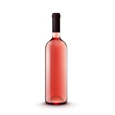 Vector Glass Wine Bottle Isolated on White Background