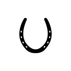 Horseshoe illustration N5