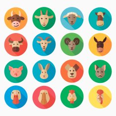 Farm animals flat icon with long shadow N2