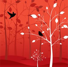 Love birds in the woods N2