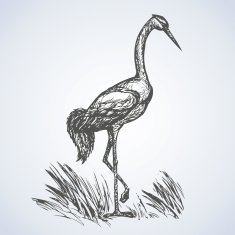 Crane Vector drawing