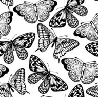 Beautiful seamless background of butterflies black and white colors N3