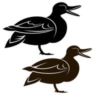 Duck N31