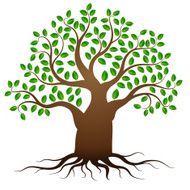 Vector green tree with roots
