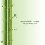 Bamboo vector design element N2