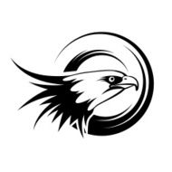 Head Of Eagle