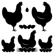 Chicken N29
