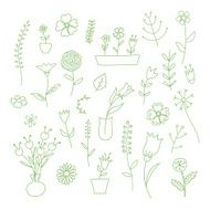 Set of spring plants and flowers