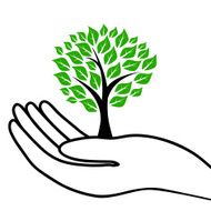 tree in hand