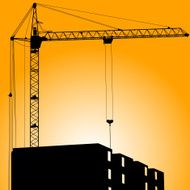 Crane N10