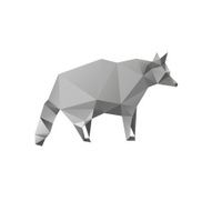 Raccoon isolated on a white backgrounds