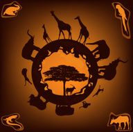 African nature N2