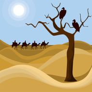 Landscape of desert