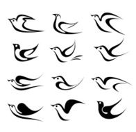Bird vetor icon set