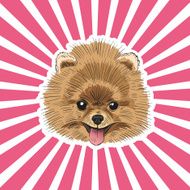 Spitz dog hand drawn vector illustration