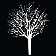Trees with dead branch N124