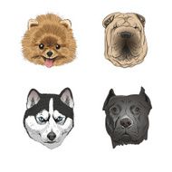 Set of hand drawn dogs vector illustration N6