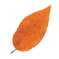 Abstract Single Bay Leaf