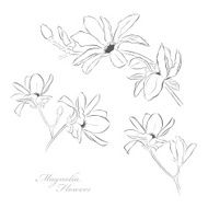 Magnolia Flowers N10