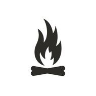 Vector Fire Icon