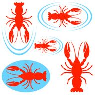 Crayfish N2