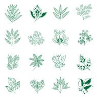 leaf N29