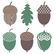 Acorn N4