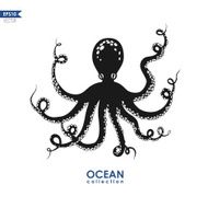 Octopus Drawing N4
