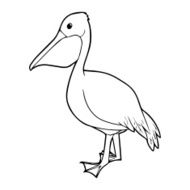 Pelican outline illustration